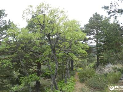 Mirador Peña El Cuervo-Valle Lozoya; senderismo aracena grutas de las maravillas aracena viajes exót